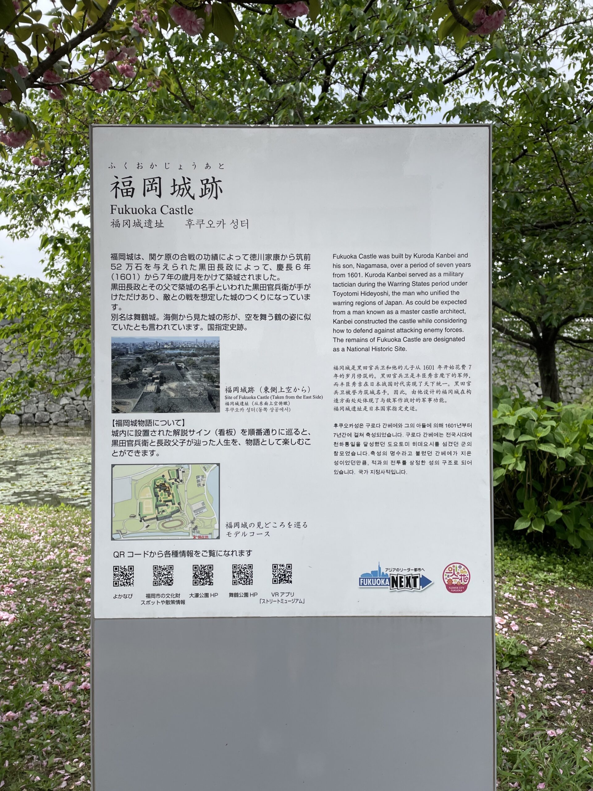 福岡城跡の石垣を見上げる