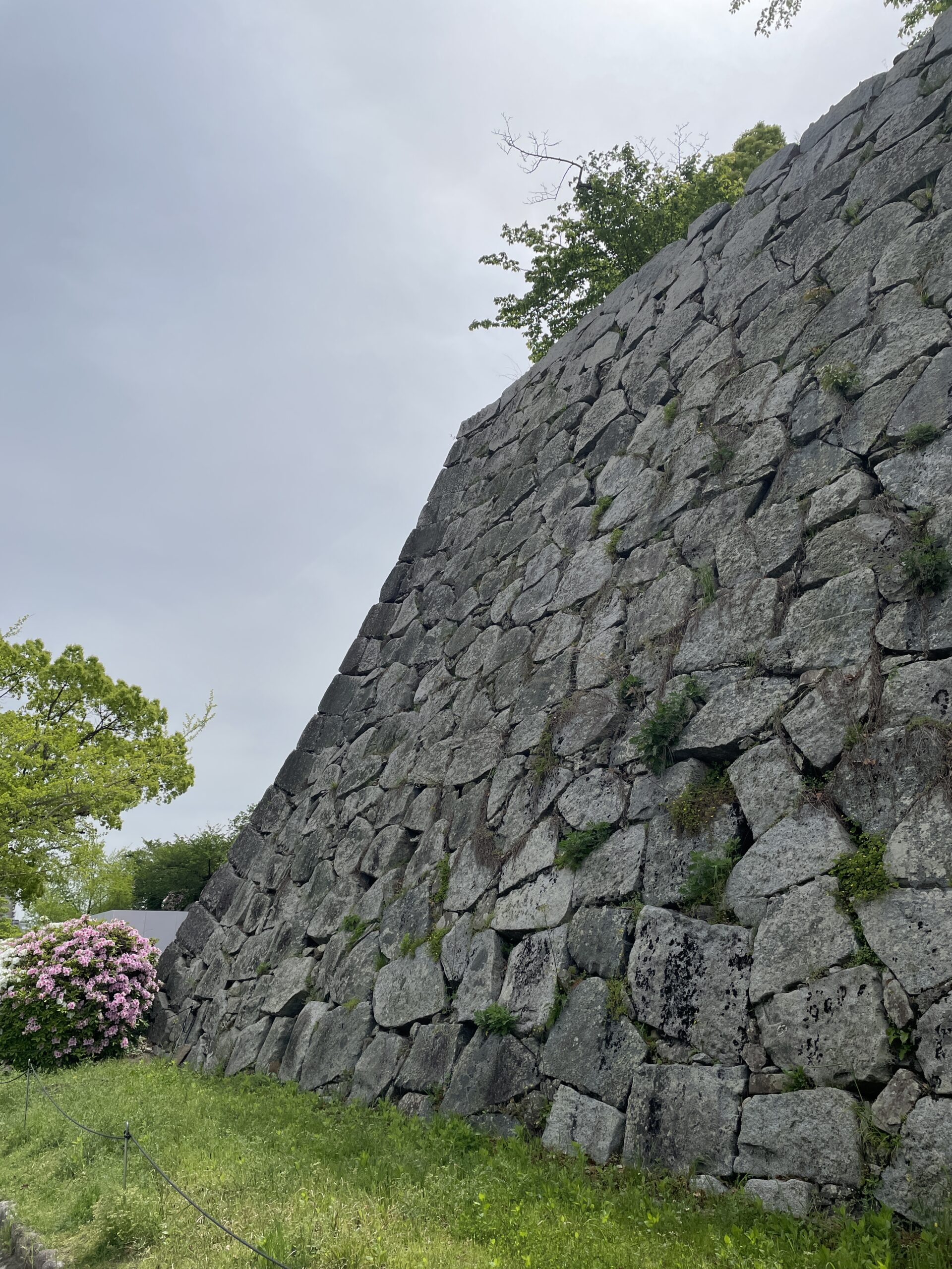 野面積みの石垣