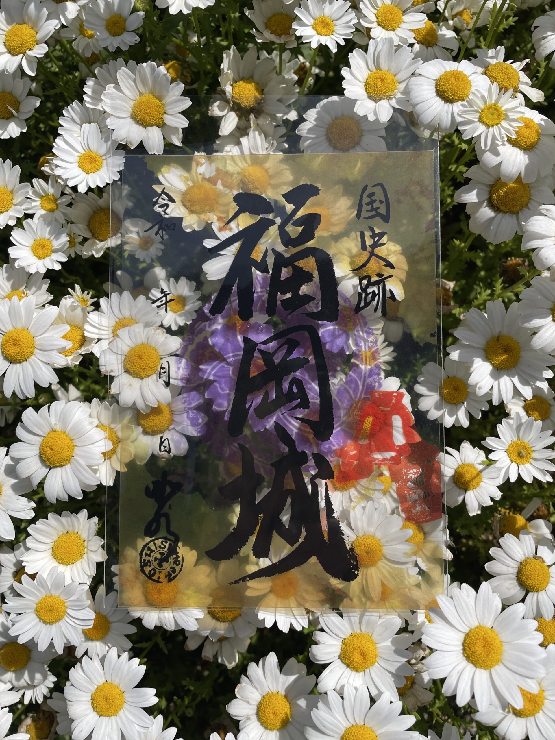 クリア御城印を花壇を背景に撮影