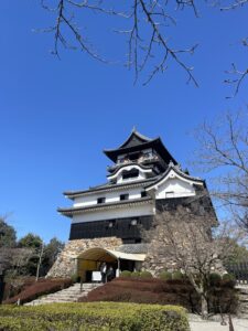 見上げる犬山城の天守