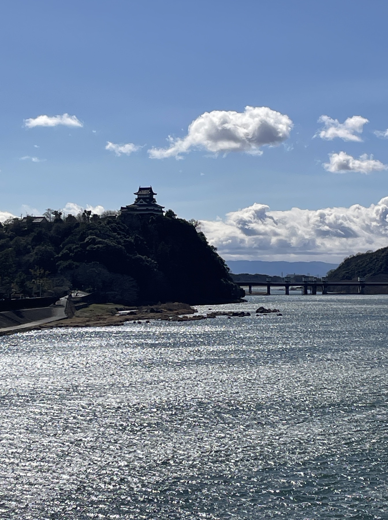 犬山橋から見た木曽川と天守