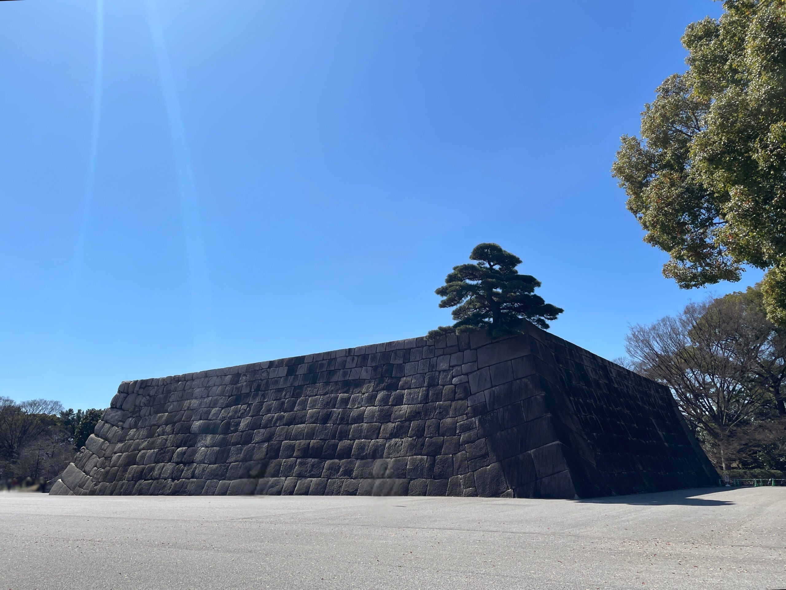 青空と松と天守台