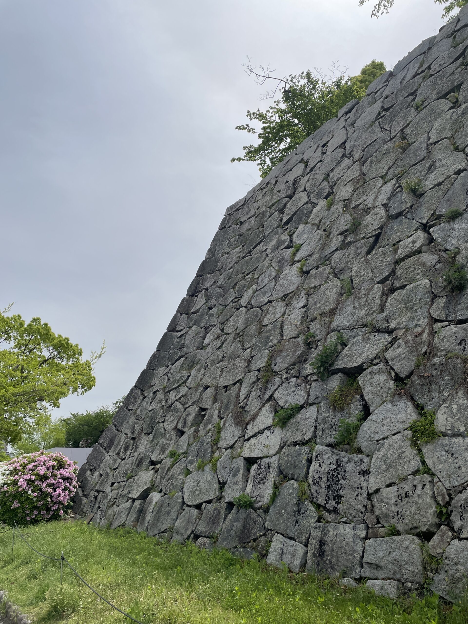 福岡城跡の野面積みの石垣