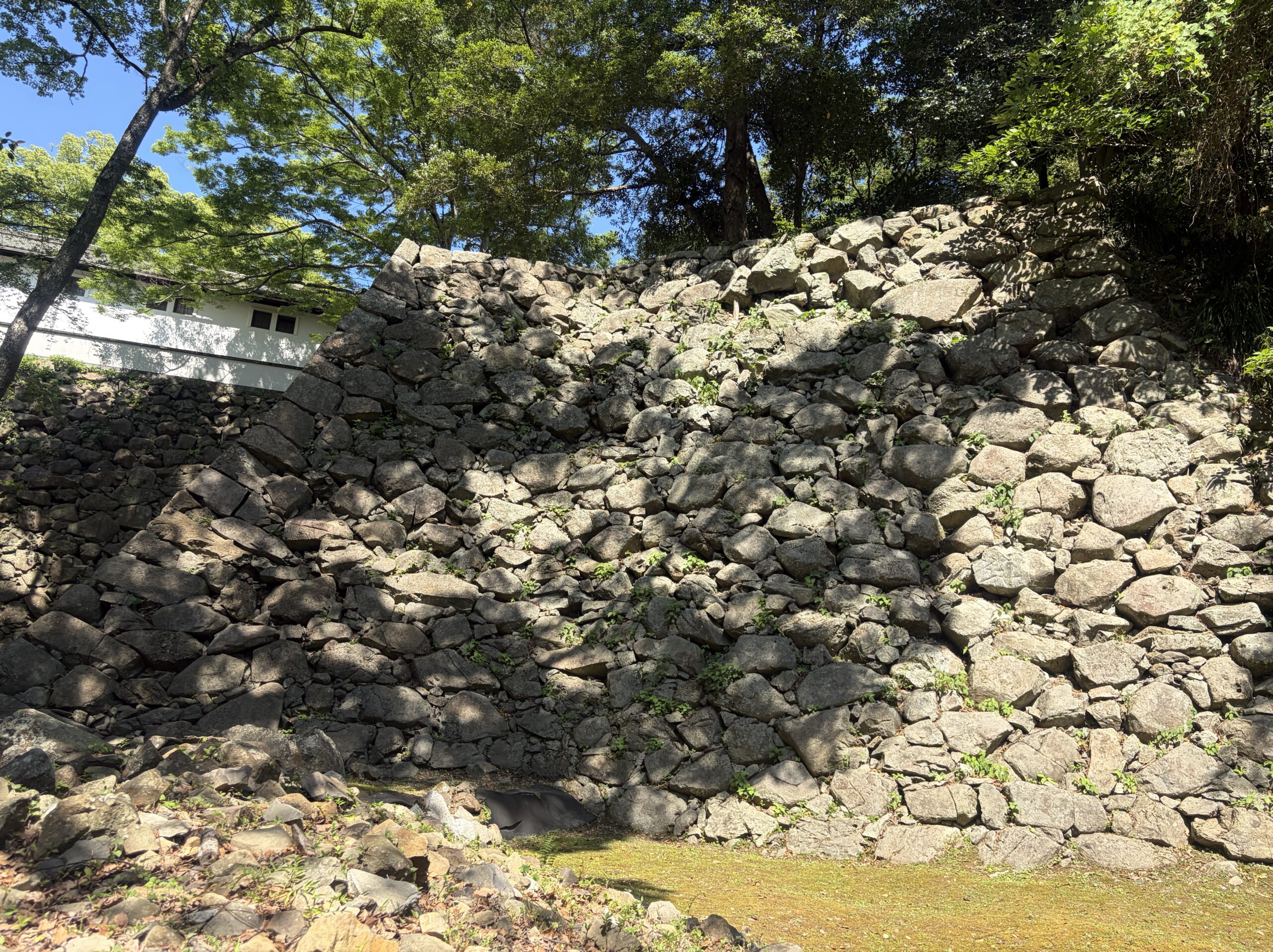 藤兵衛丸の石垣