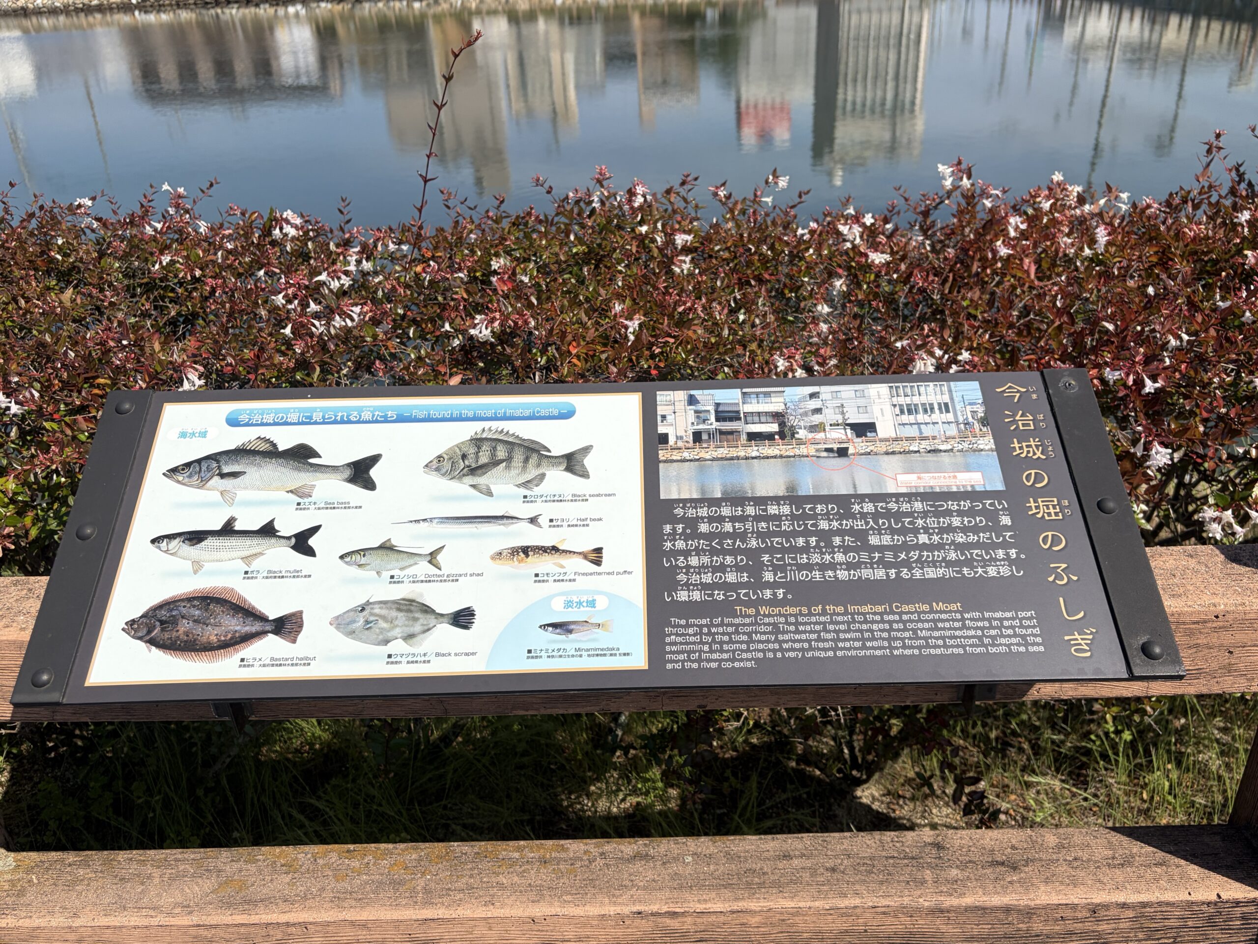 「今治城の堀のふしぎ」の案内板