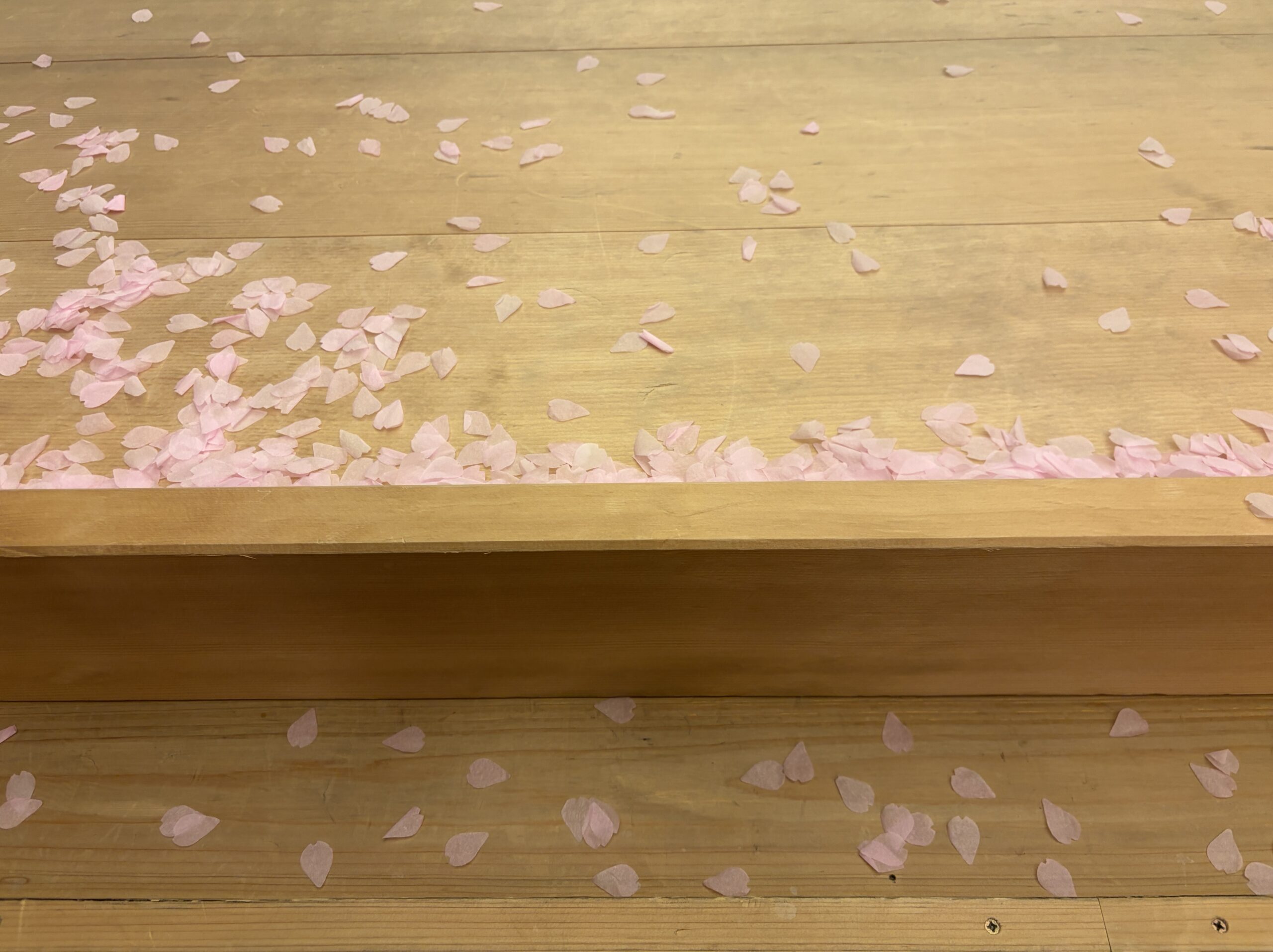 花道に散り積もった花びら