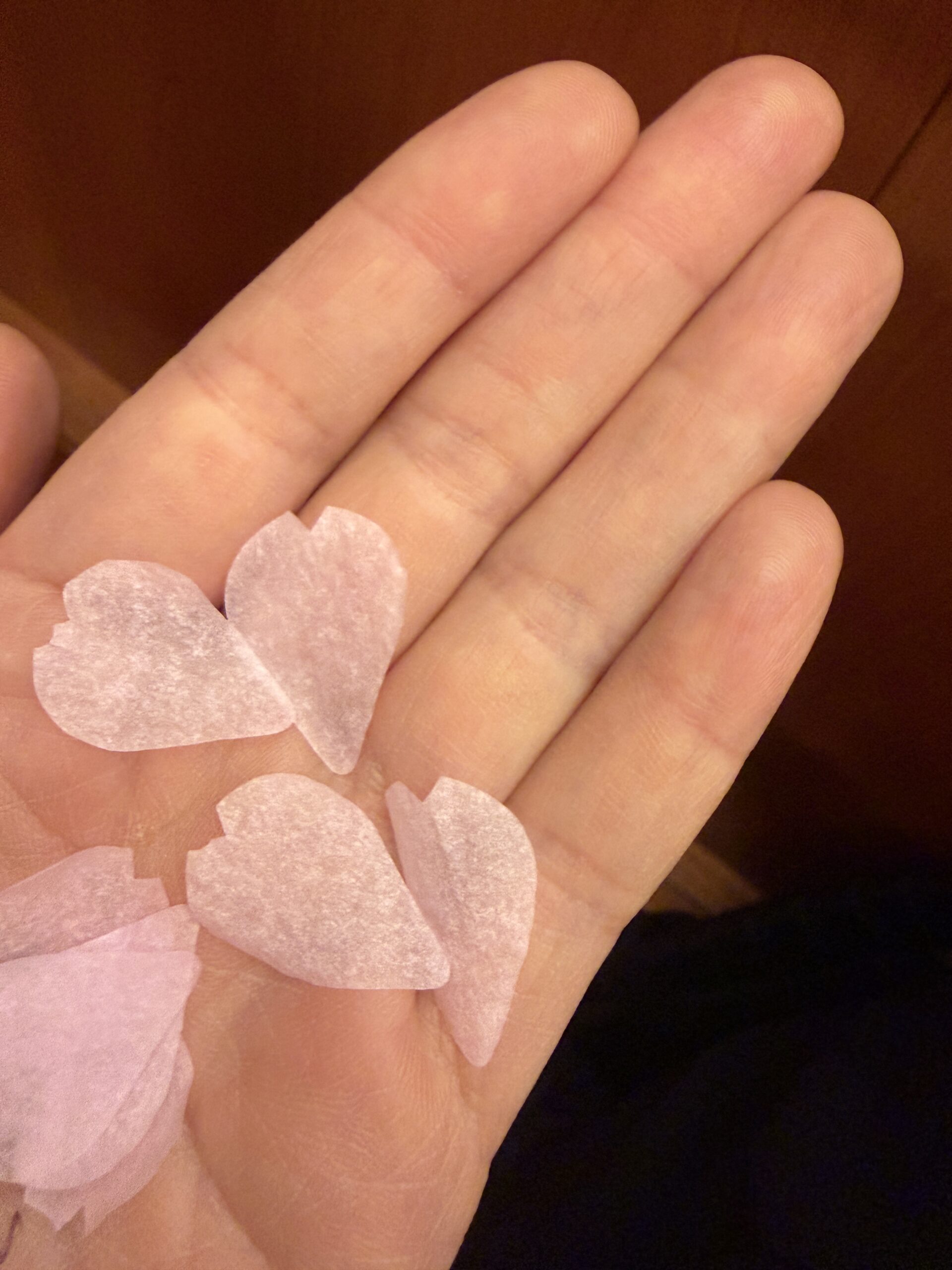 手のひらにのせた桜の花びら