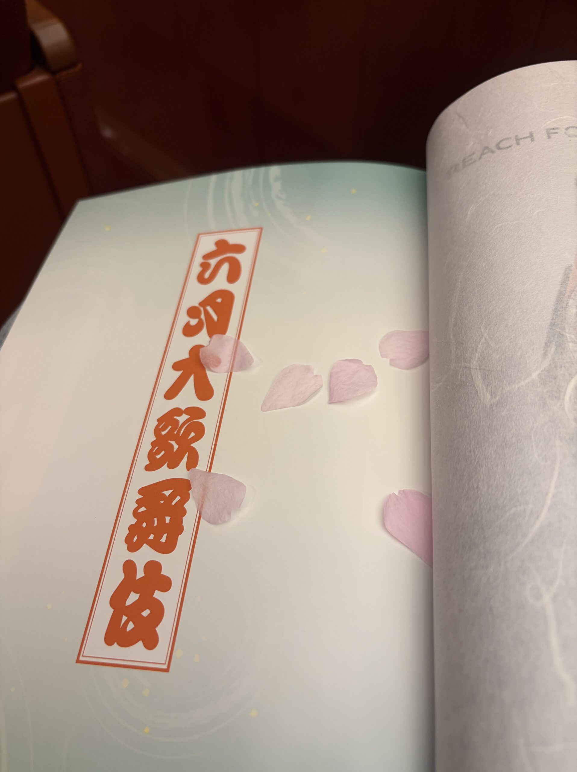 六月大歌舞伎の筋書