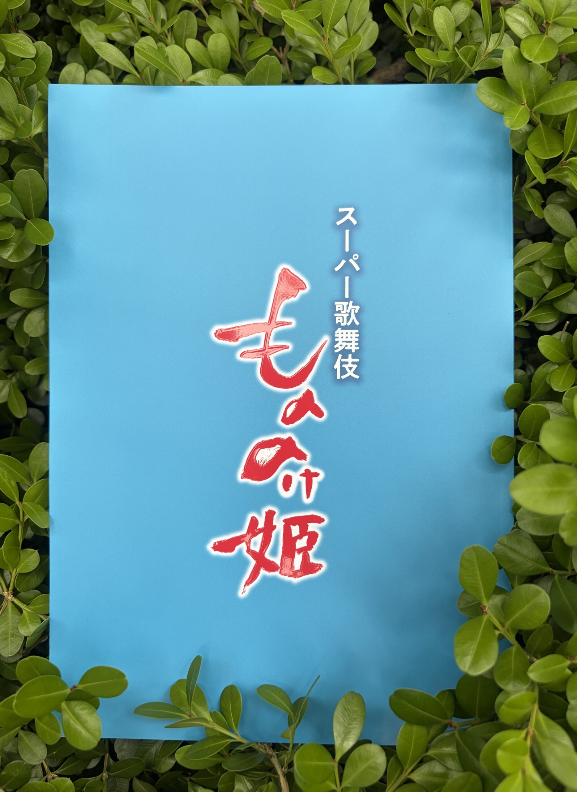 緑の植え込みの中で撮った青い筋書