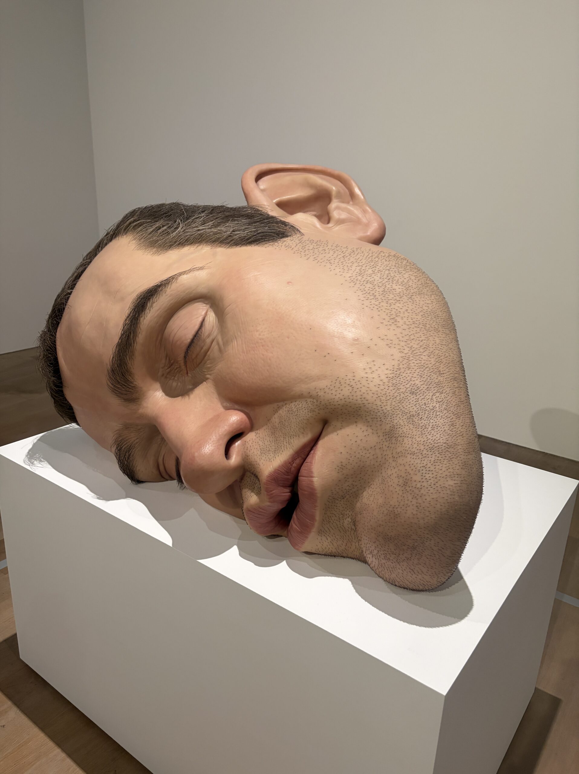 巨大な眠る男性の顔《マスクII》