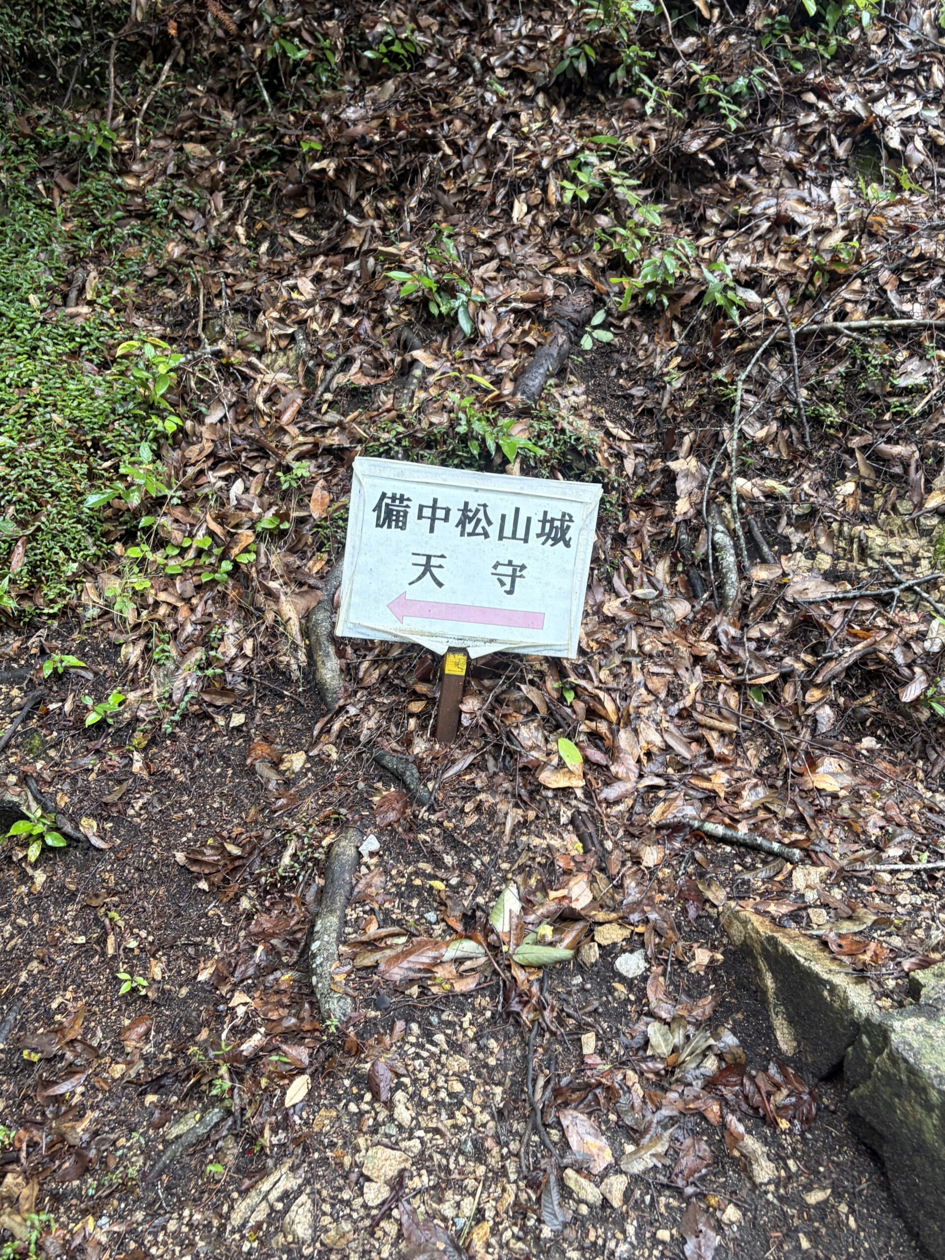 落ち葉の山道に立つ天守への小さな道標