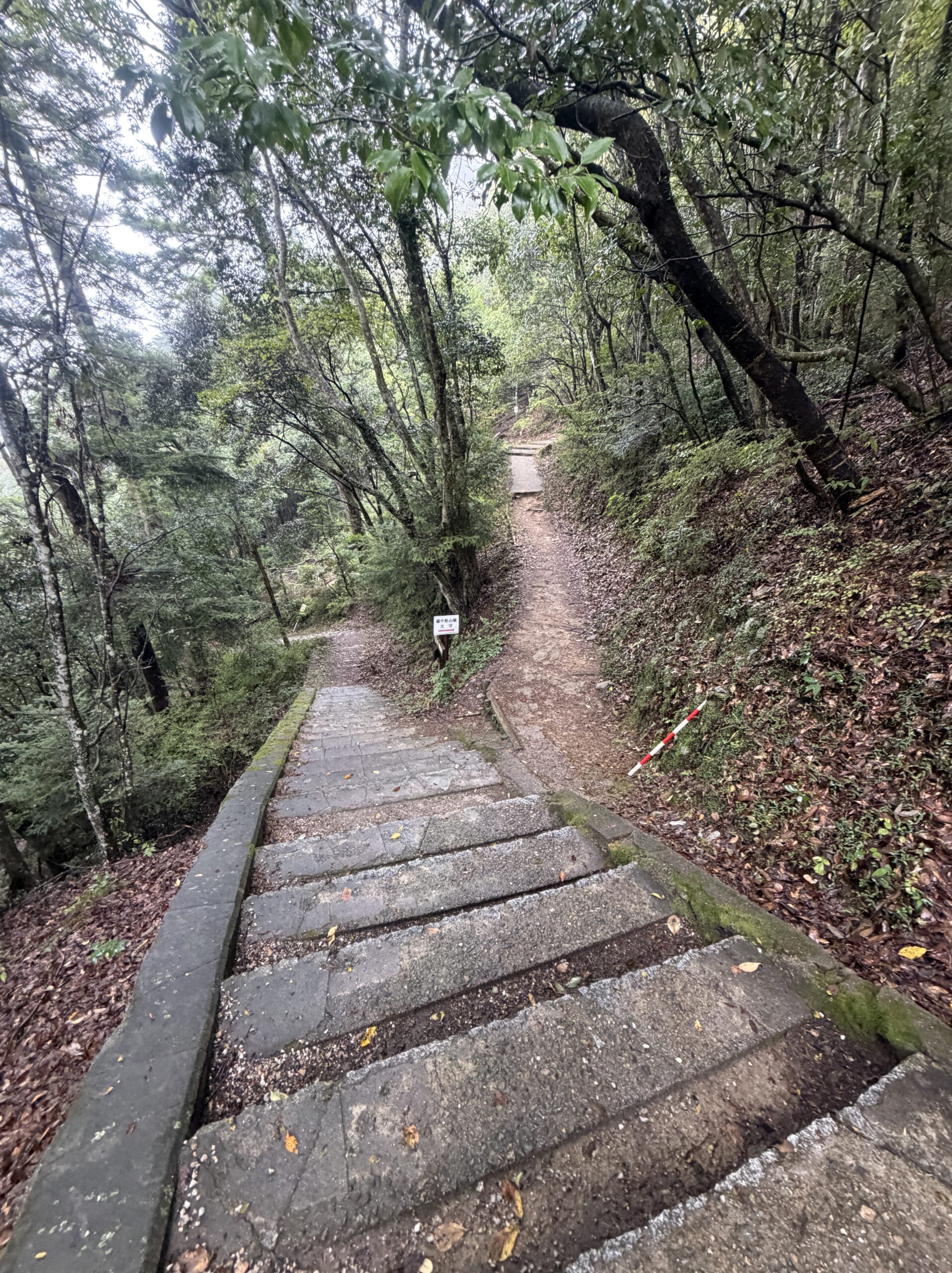 林の中へ続く石段と山道