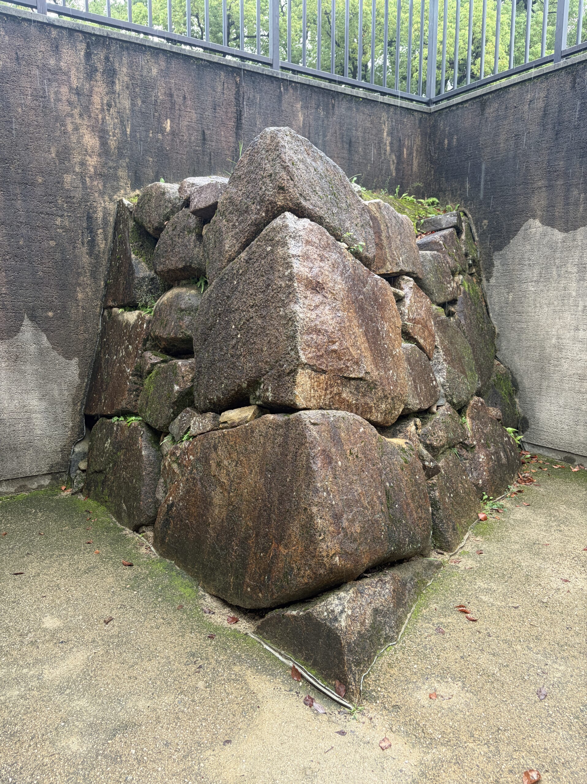 鋭い角をもつ埋没石垣