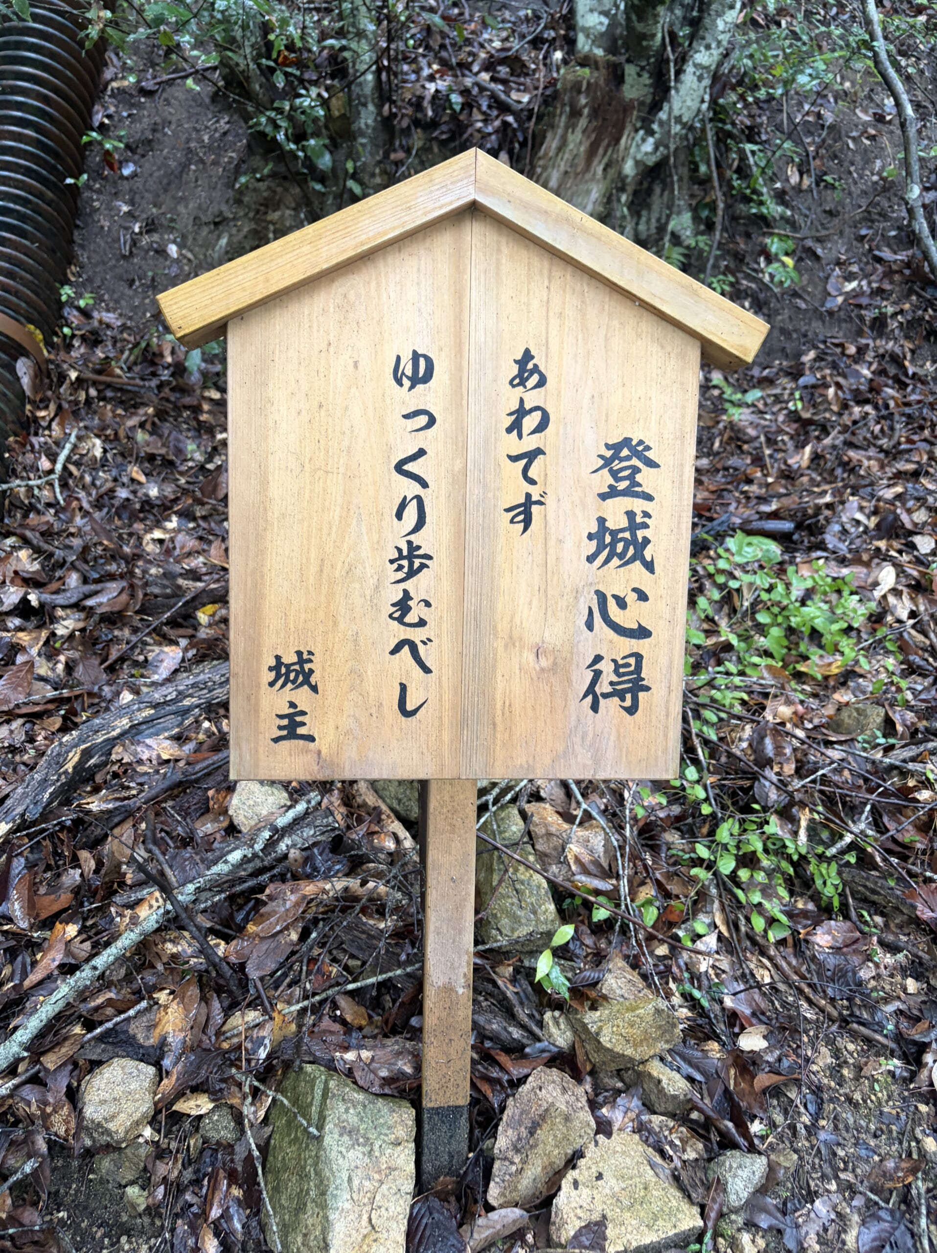 「あわてず ゆっくり歩むべし」の登城心得