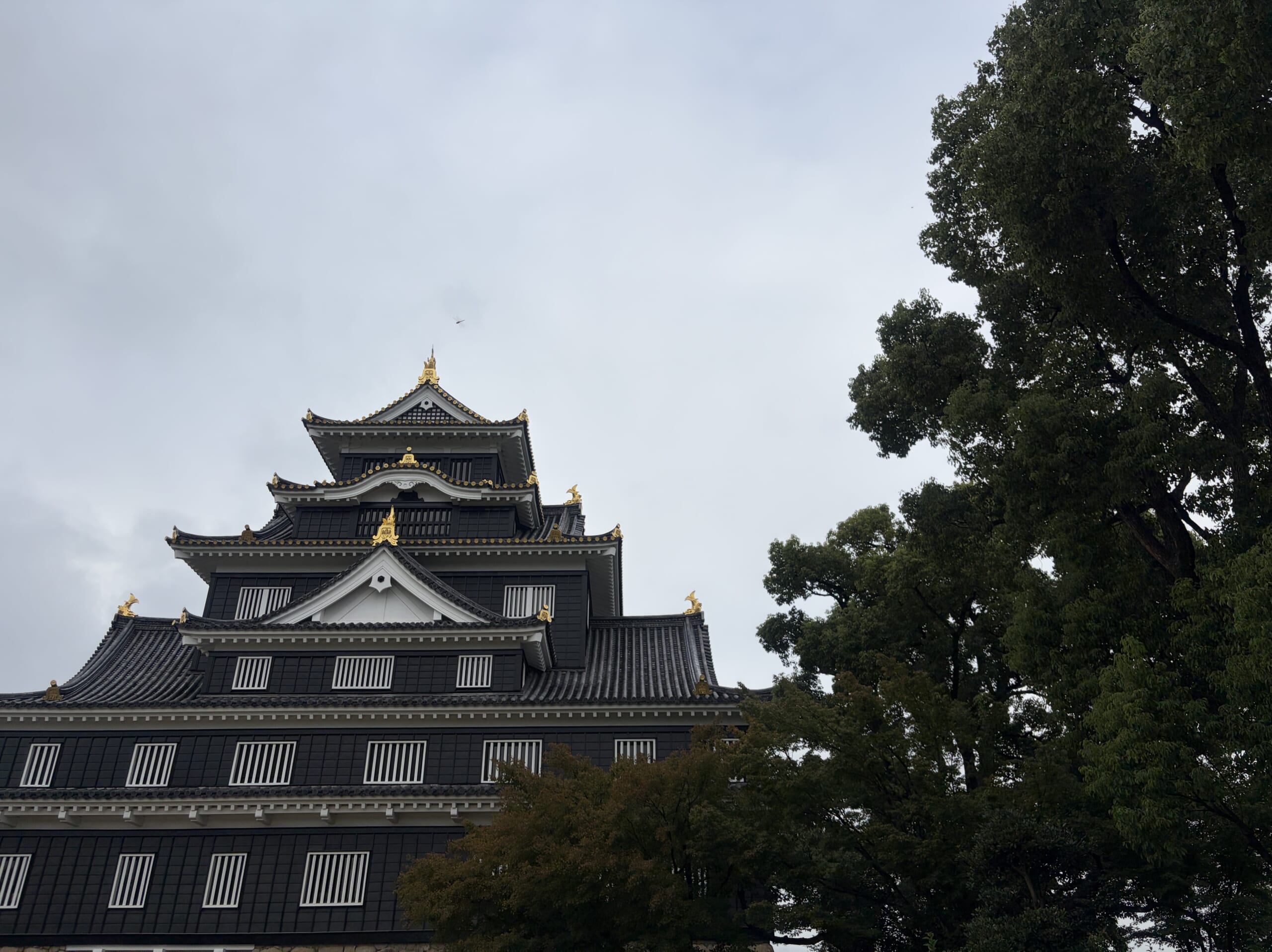 木々の向こうに見える岡山城天守