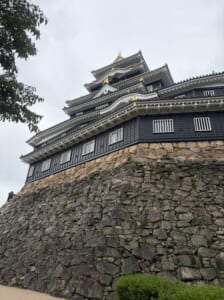 高い石垣の上にそびえる岡山城天守