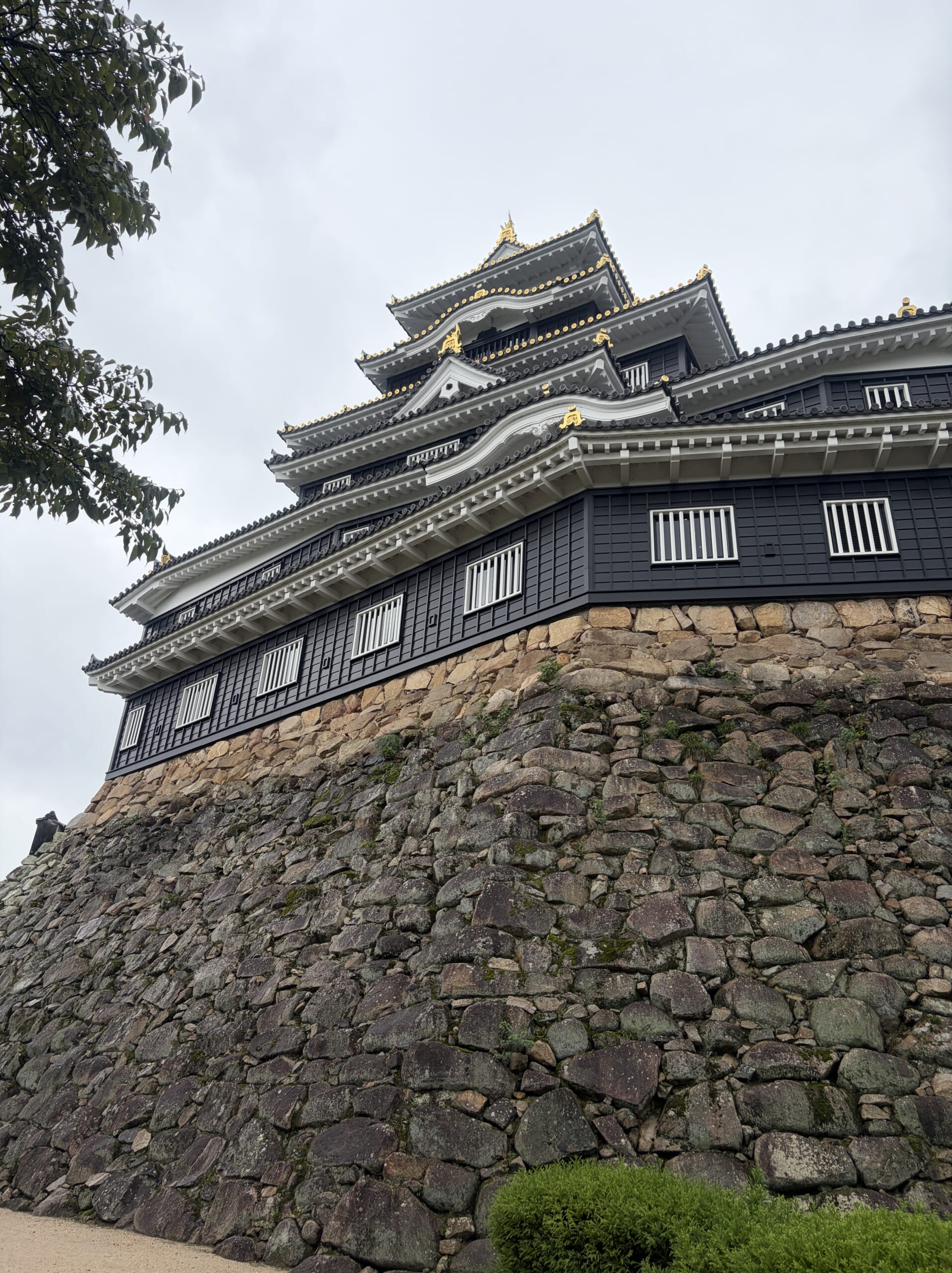 高い石垣の上にそびえる岡山城天守