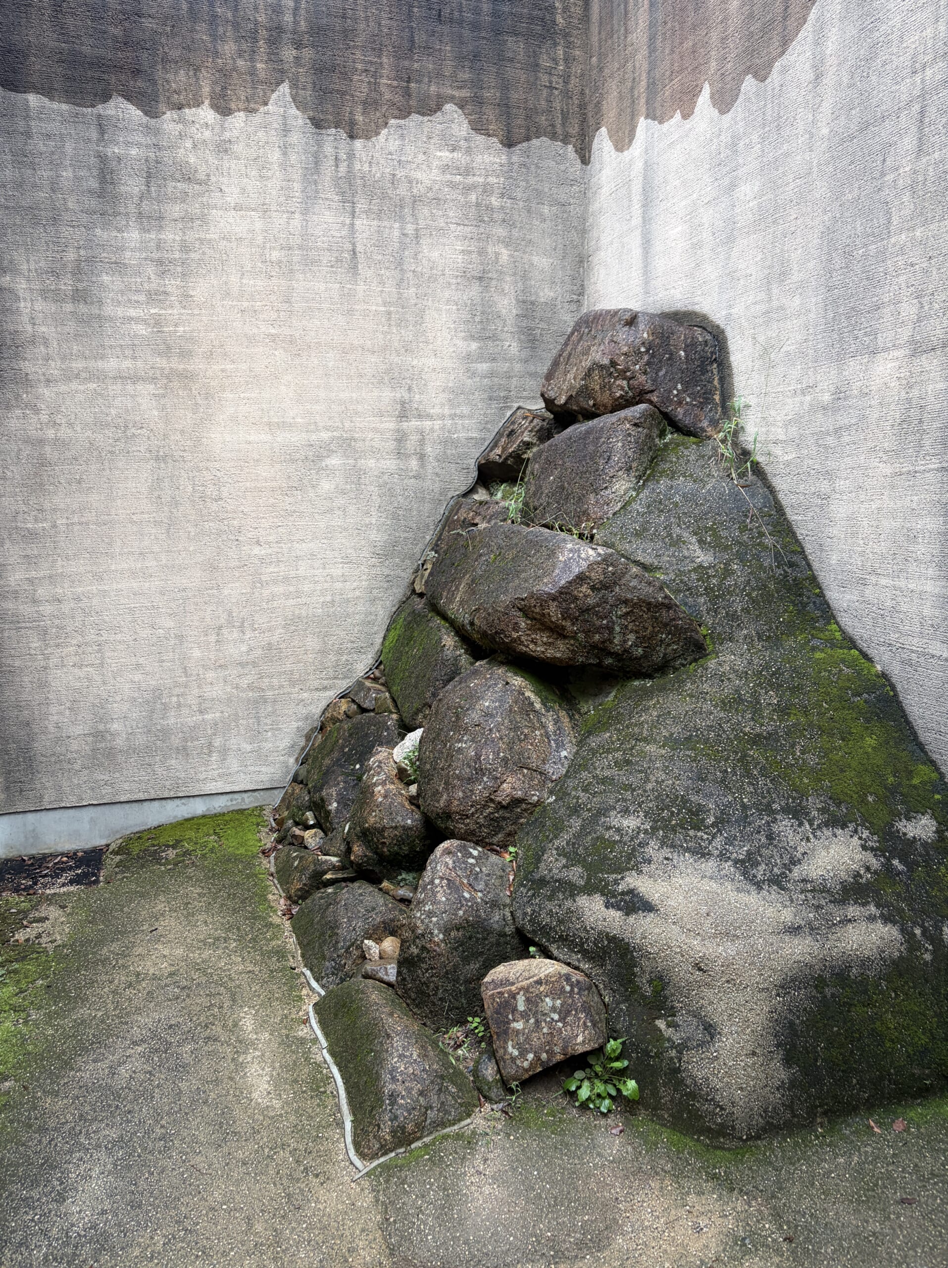 地下展示で見られる中の段西辺の石垣