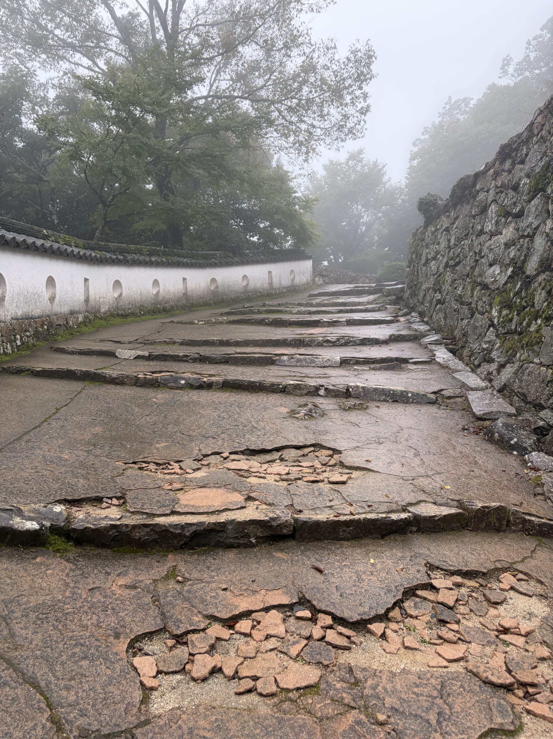 丸や四角の狭間が並ぶ白壁沿いの道