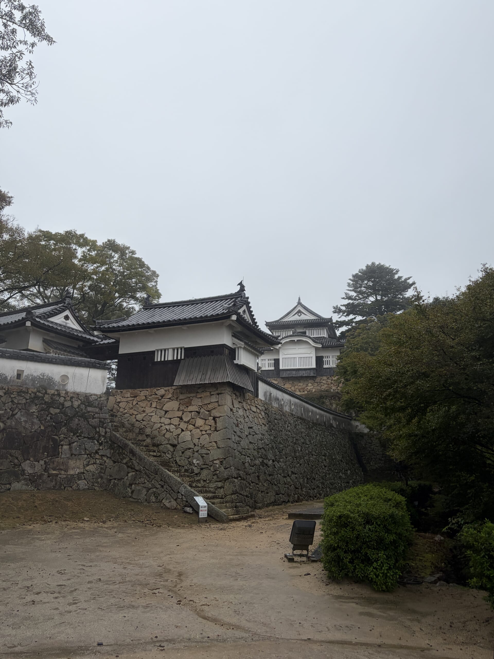 二の丸から見上げた天守と石垣
