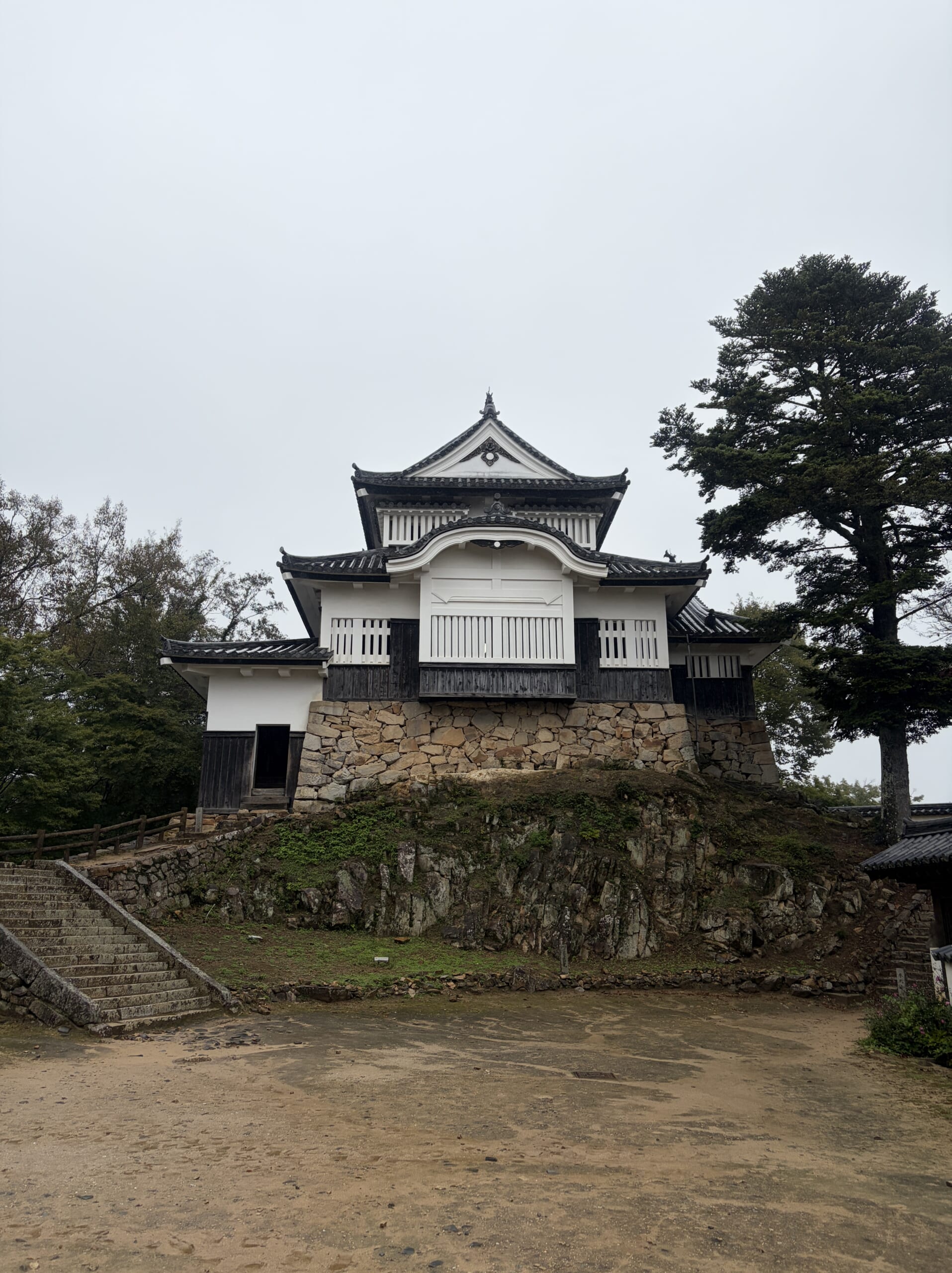 本丸から見上げた備中松山城の天守