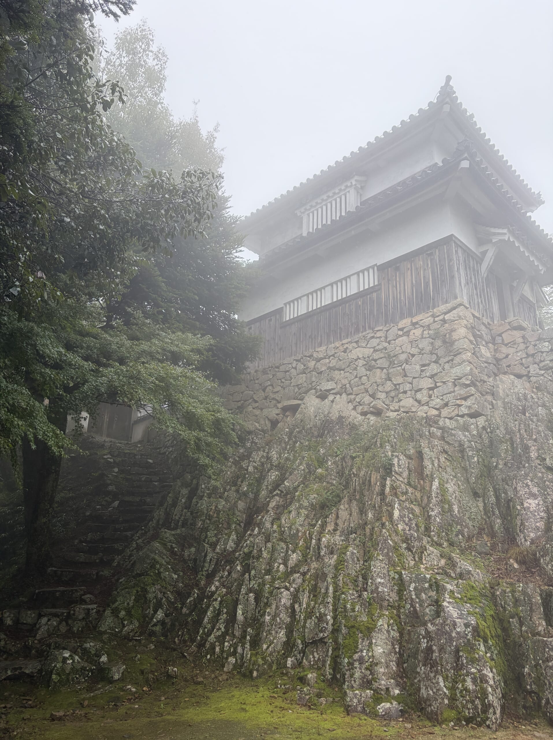 巨大な岩盤と石垣の上に立つ二重櫓