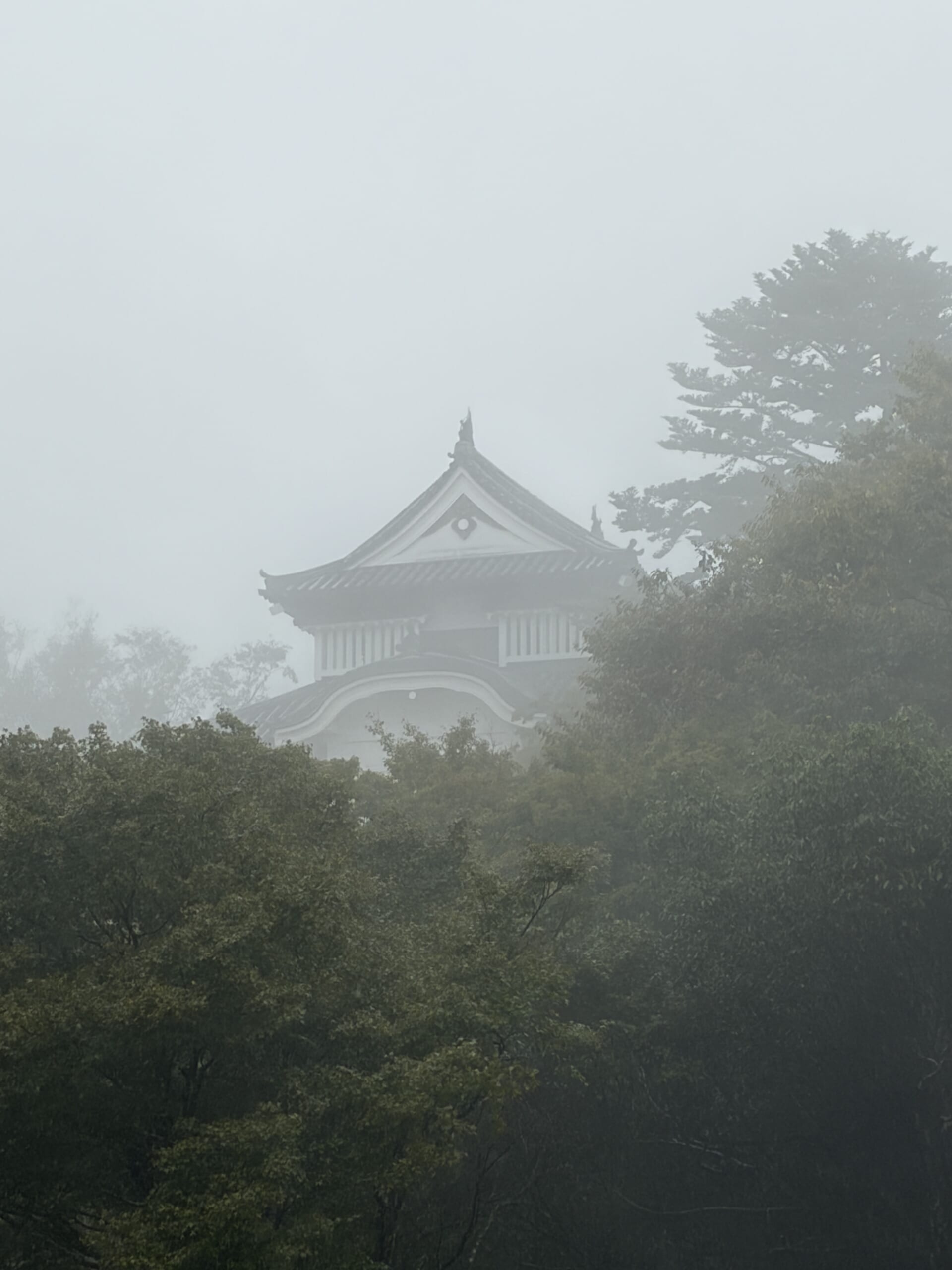 木々越しに霧の中の天守を振り返る