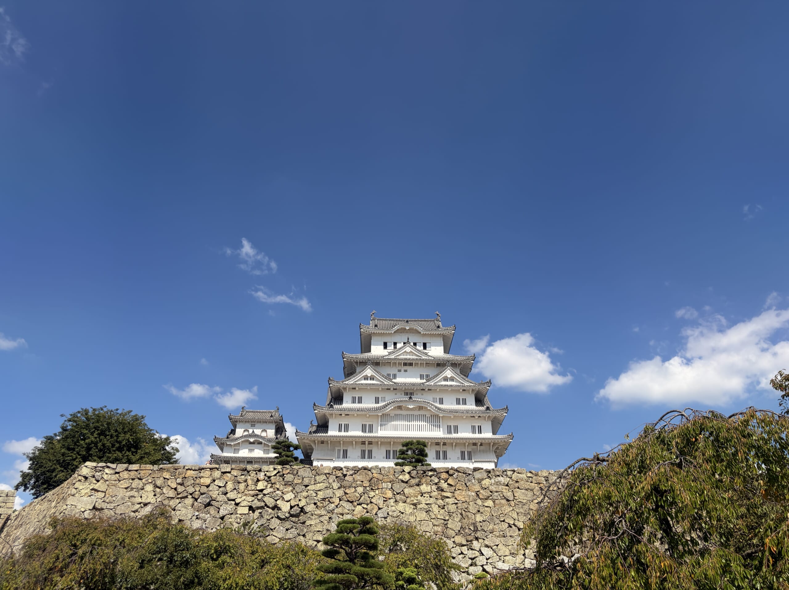 青空の下、石垣の上にそびえる姫路城の天守