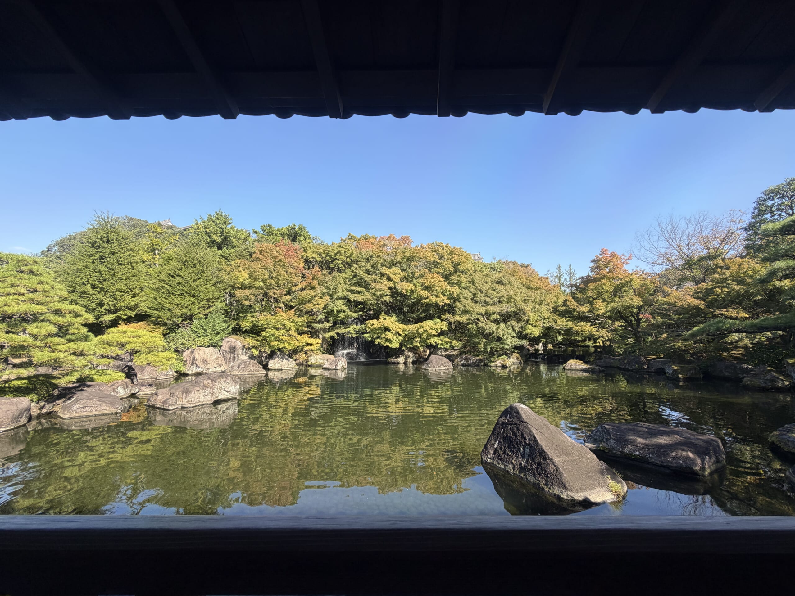 縁側から眺める好古園の池と木々